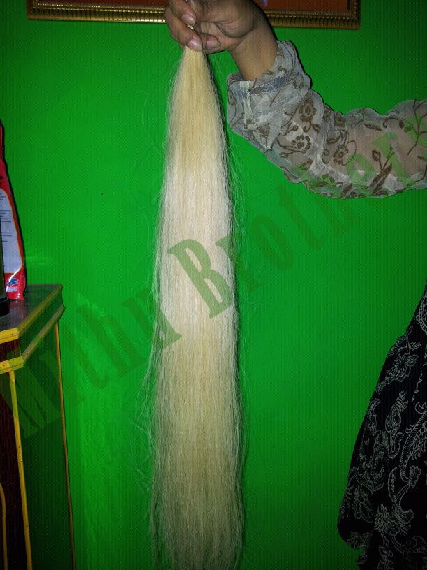 Human Hair Off White Color
