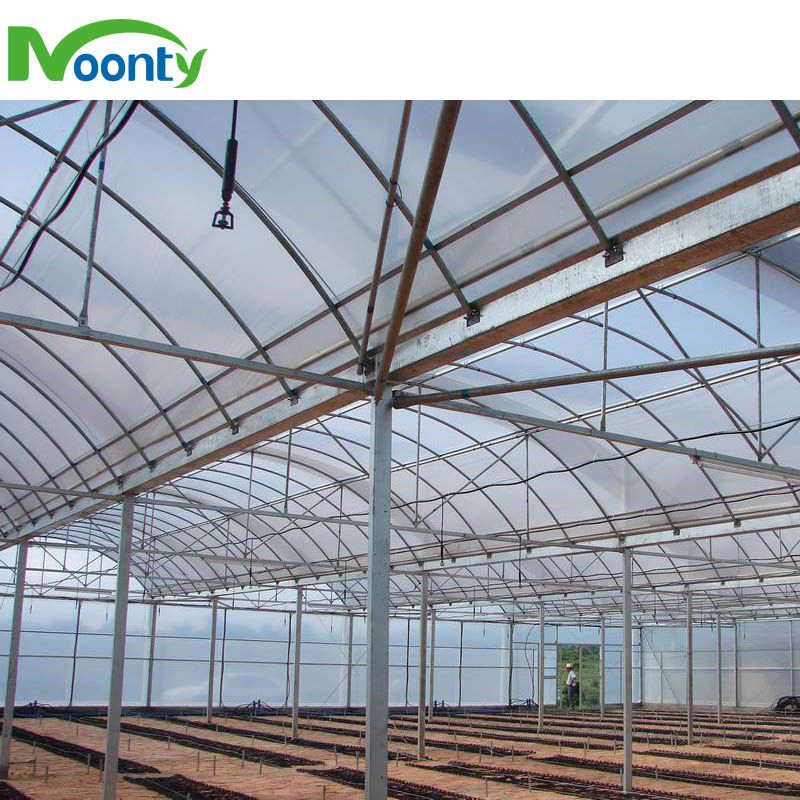 Multi-span Plastic Film Agricultural Greenhouse