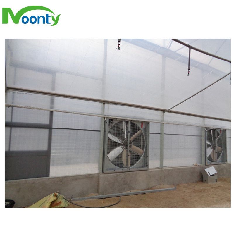 Evaporative Cooling Pad & Fan System for Agricultural Greenhouse