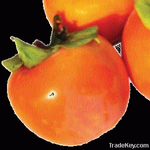 KAKI Persimmon