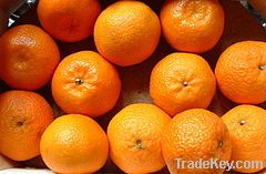 Mandarines