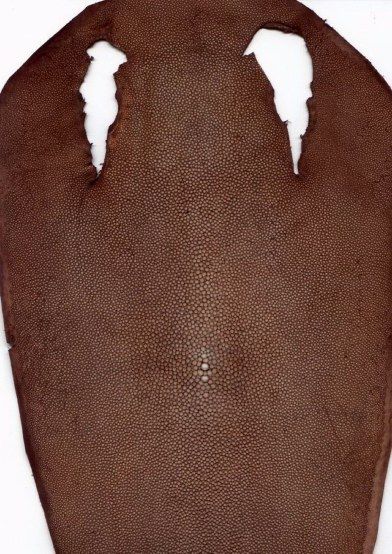 Stingray leather