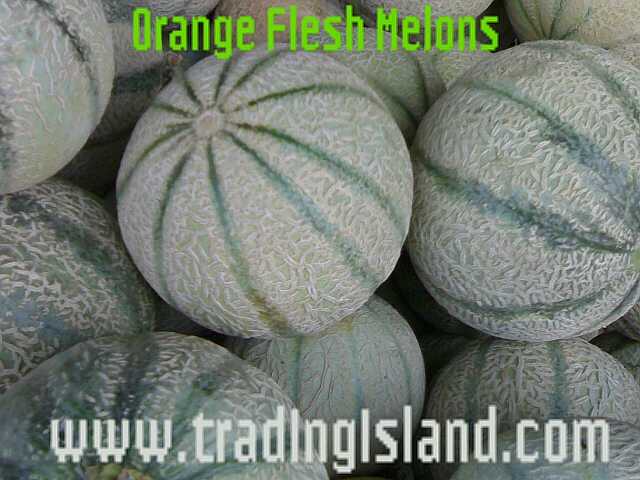 MELONS&WATERMELONS WWW.TRADINGISLAND.COM