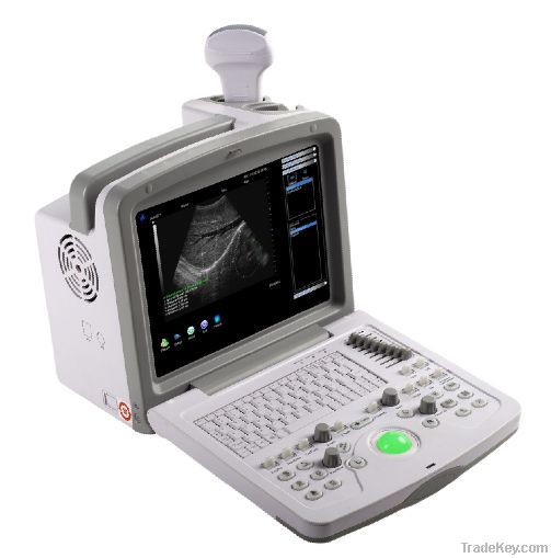 Portable black and white ultrasound system