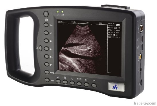 Palmsize black and white vet ultrasound system