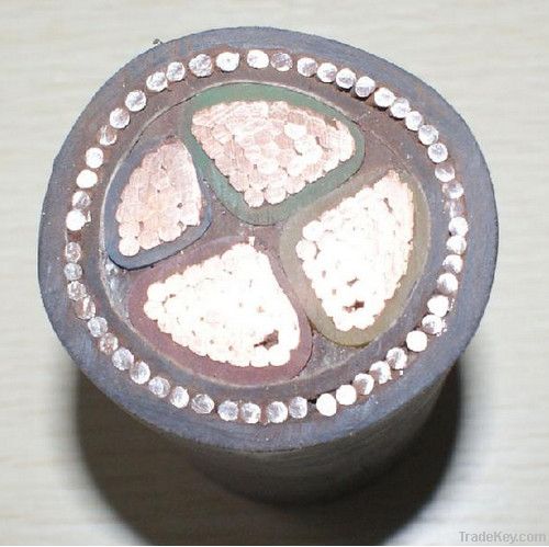 XLPE Insulated PVC Sheathed Swa Power Cable (YJLV32)