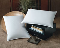 Down & Feather Pillow