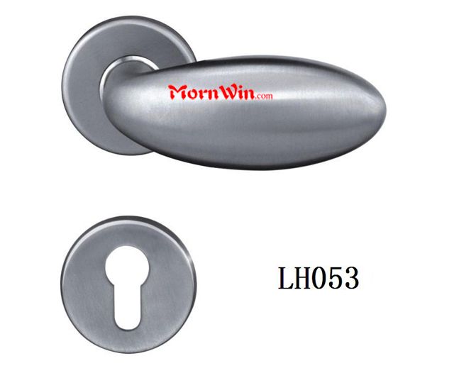 Stainless Steel Door Handle, Door Hardware