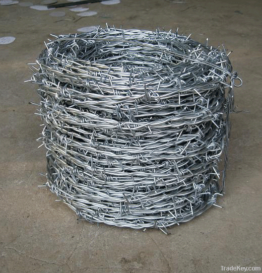 Barbed wire mesh fence