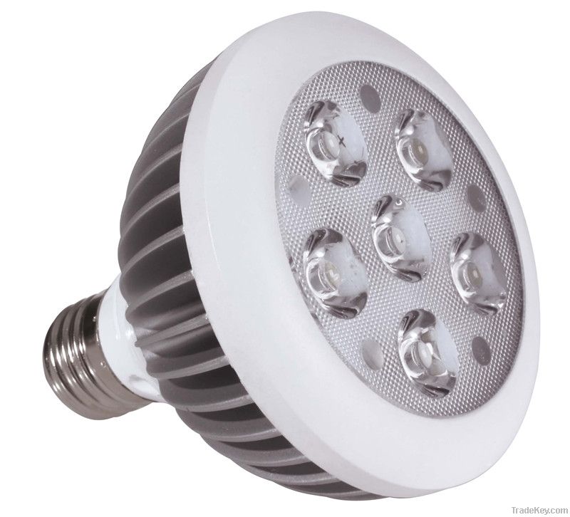 Par30 Led Spotlights 7w