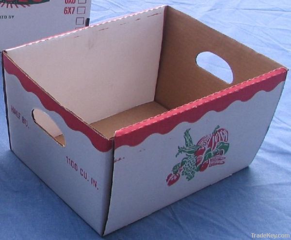 Fruit / Vegetable / Date Boxes  (Export Packaging)