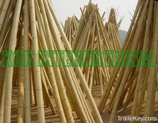 bamboo cane/pole/stick