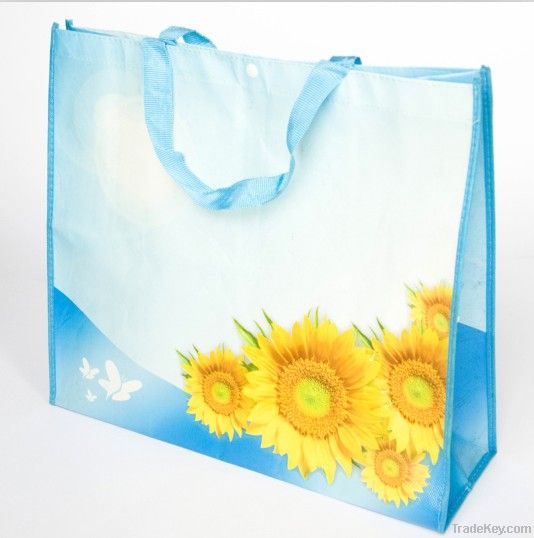 non woven shopping , promotional bag