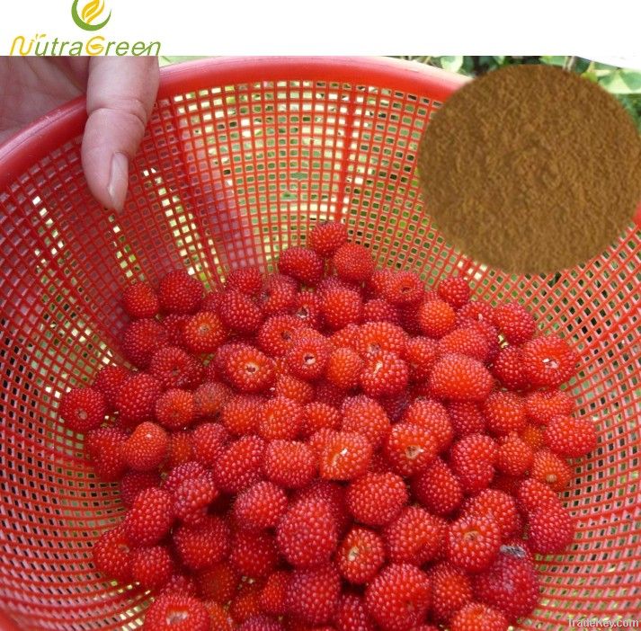 Red Raspberry Extract Raspberry Ketone