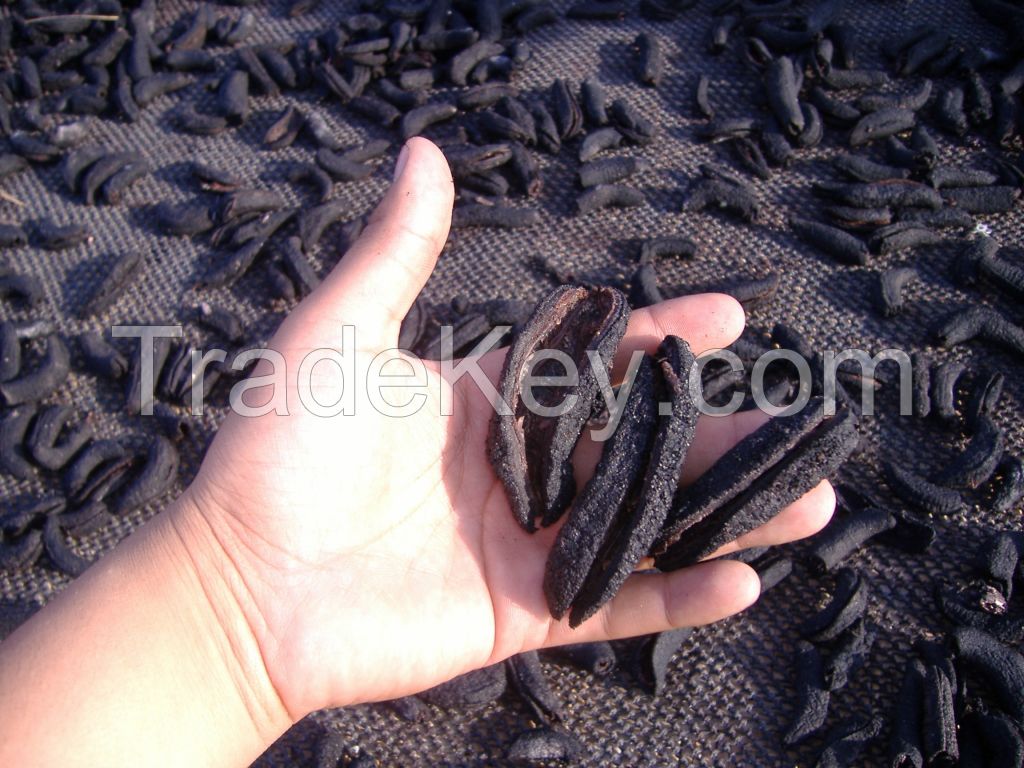 Peruvian Dried sea cucumber