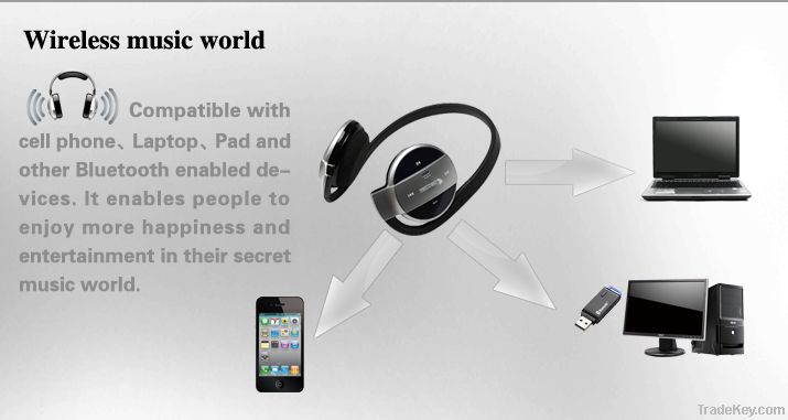 Sporty style Bluetooth headset BH-501 with SD card