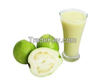 High quality Fresh/pure/delicious Aseptic Guava Puree