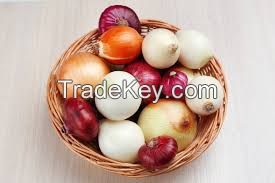 Excellent quality Fresh Onions 'A' Grade quality