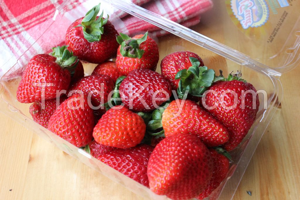 High quality Fresh/pure/delicious red fresh Strawberry