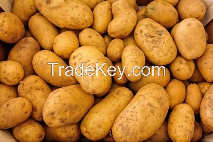 Excellent quality Fresh Potatoes 'A' Grade quality