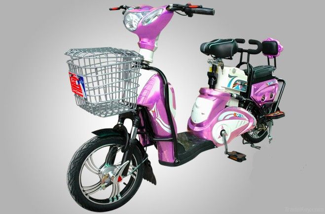 Electric Bike (HS-09)