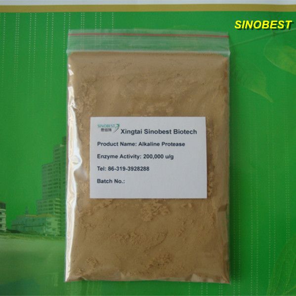 High Quality Alkali Protease 2709 for washing leather silk
