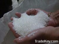 BRAZILIAN REFINED SUGAR ICUMSA-45