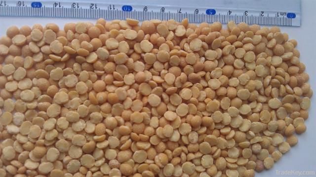 Split Yellow Peas