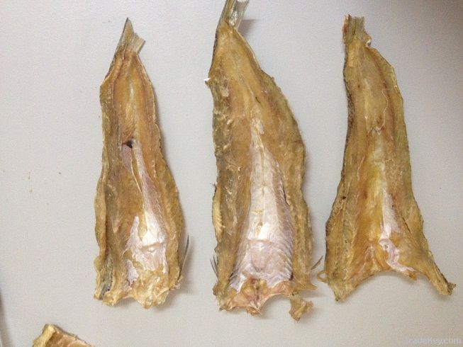 DRIED LIZARD FISH FILLET