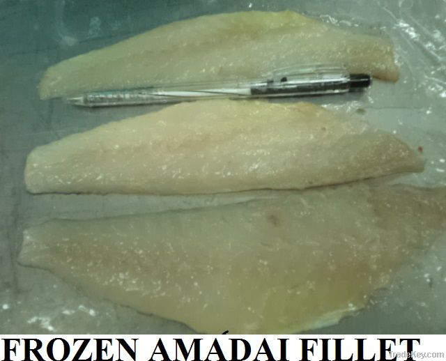 FROZEN RED HORSEHEAD FISH FILLET (AMADAI)