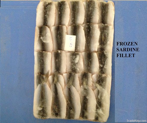 Frozen Sardine fish fillet