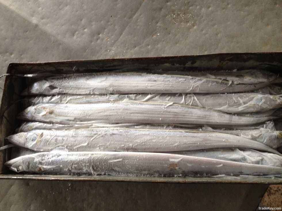 FROZEN WHOLE ROUND RIBBON FISH (HAIR FISH)