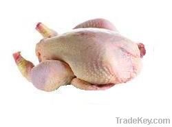 Grade A halal frozen whole chicken