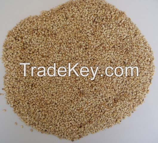 Sesame seed & Sesame oil