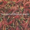 Dried Red Chilli Whole