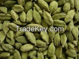 cardamom