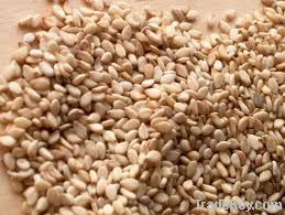Flax Seeds, Jatropha Seeds, Rape Seeds, Castor Seeds, Cotton Seeds