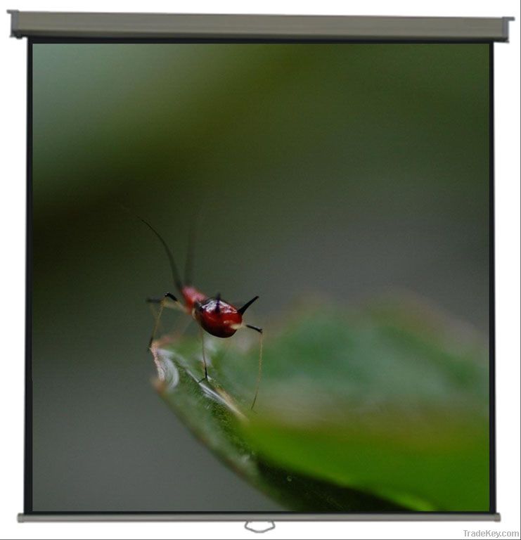 WJ-SWS 1-series, Matte White Matellic Square housing Wall/Manual Projection/Projector screens