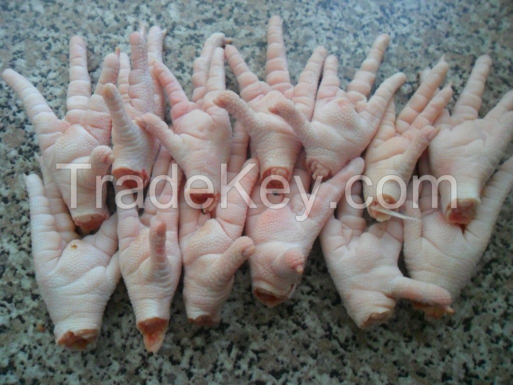 Chicken Paws, Chicken Feet, Whole chicken, and Chickens Parts for Exports
