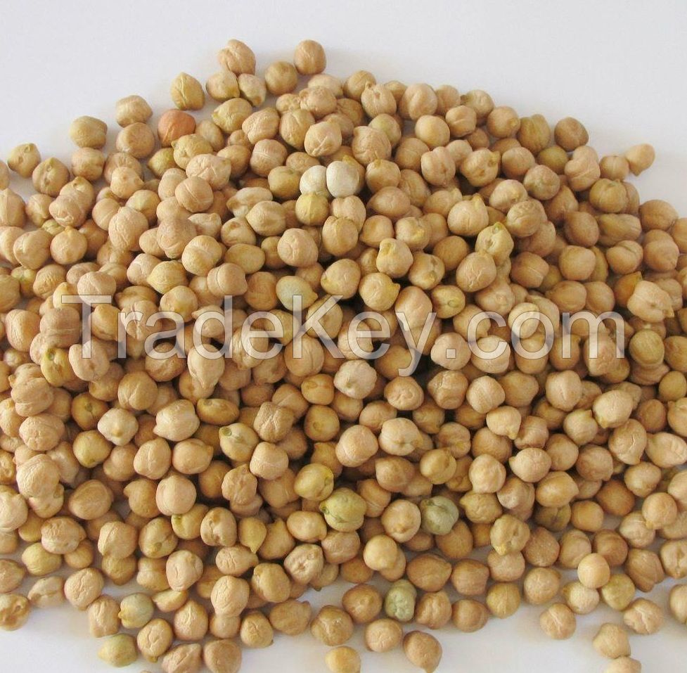 Kidney Beans , Chickpeas , Green Mung Beans, Peas, Lentils 