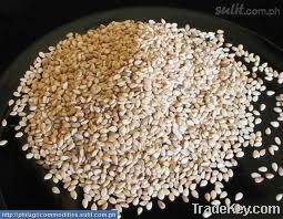 SESAME SEEDS