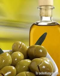 Olive Oil