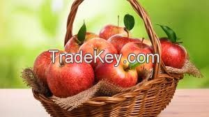 FRESH FRUITS(APPLE)