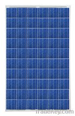 Conergy CGY-50102, PH 240 Watt Poly Solar Panel, Pallet of 22