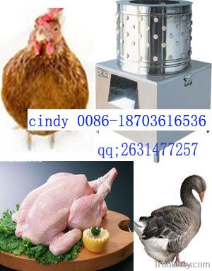 stainless steel poultry plucking machine with low price 0086-13673672593