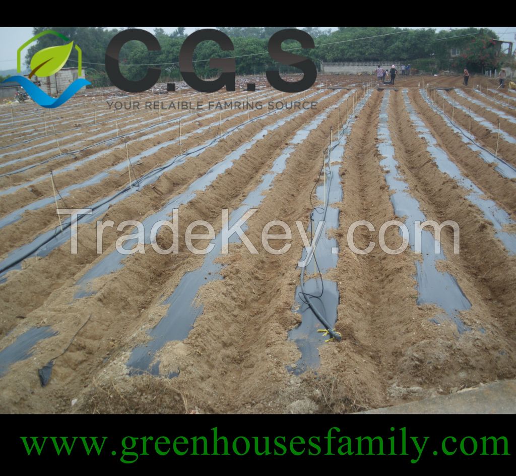 Greenhouse Ground Cover Weed Mat