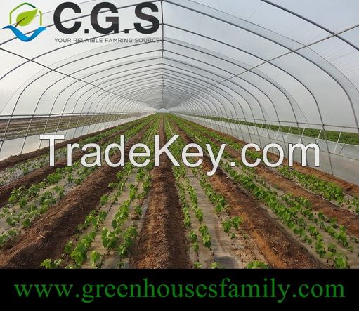 Single Cold Frame Greenhouse