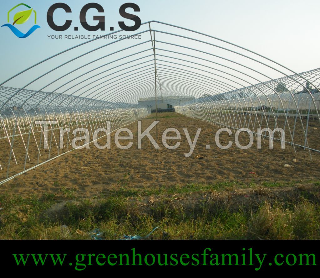 Agricultural Polytunnel Greenhouses