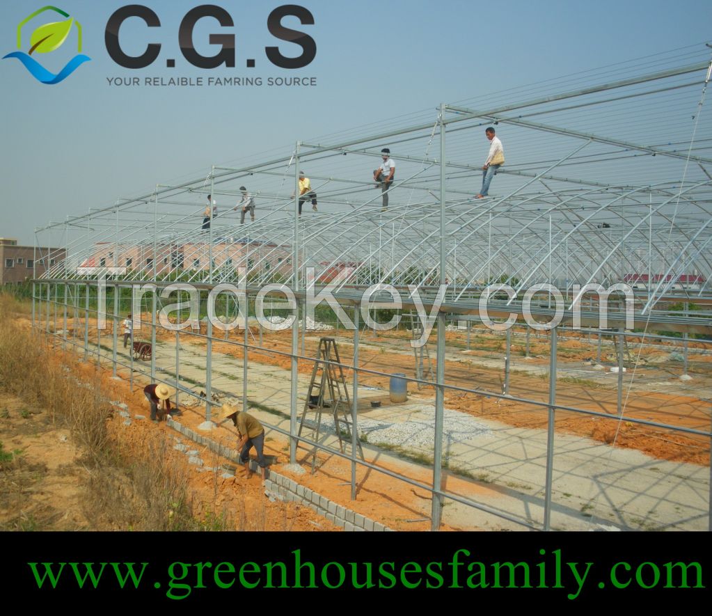 Plastic Film Commercial Vegetable Greenhouse