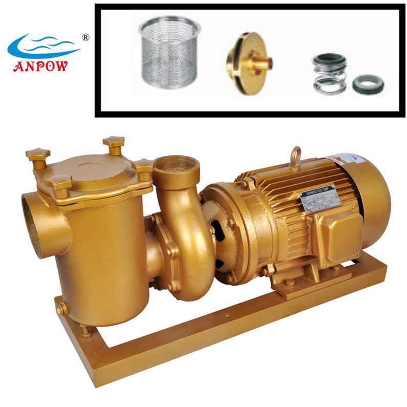 Commerical Copper Swimming Pool Water Pumps